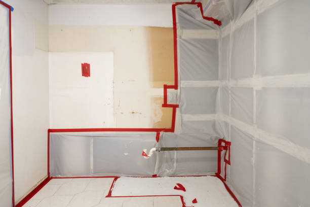 Best Industrial Mold Remediation  in Jeanerette, LA