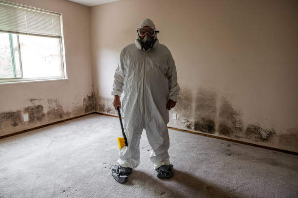 Best Forensic Mold Investigation  in Jeanerette, LA